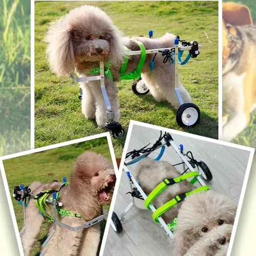 Miniatura 7 de Silla de ruedas para perros, silla de ruedas para mascotas de apoyo completo para patas traseras/patas delanteras, rehabilitación ligera de perros