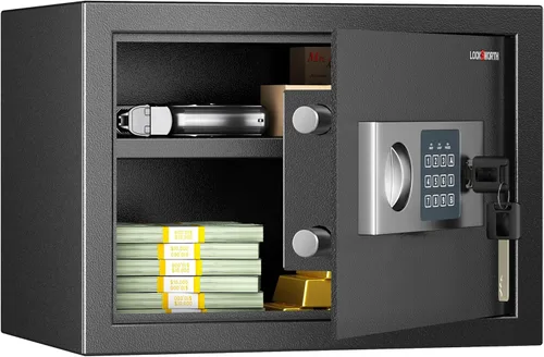 Locksworth Caja de seguridad para el hogar, caja de seguridad de 0.6 pies cúbicos, caja de seguridad digital para dinero, joyas, documentos y armas,