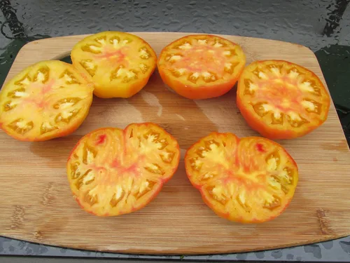 Miniatura 2 de Semillas de tomate Hillbilly Heirloom - Más de 30 semillas