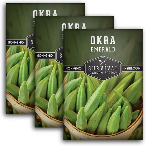 Miniatura 11 de Survival Garden Seeds - Semilla de okra esmeralda para plantar - Paquete con instrucciones para plantar y cultivar Okra tierna y grande en tu huerto