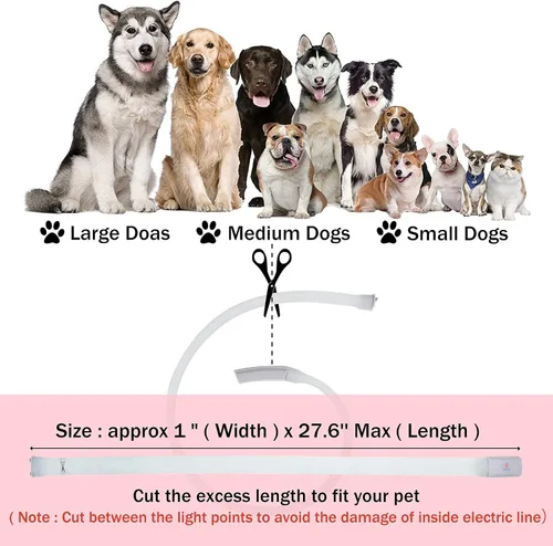 Miniatura 6 de Collar de perro recargable USB-C, collar de luz multicolor súper brillante, resistente a la intemperie, luz de seguridad para caminar por la noche