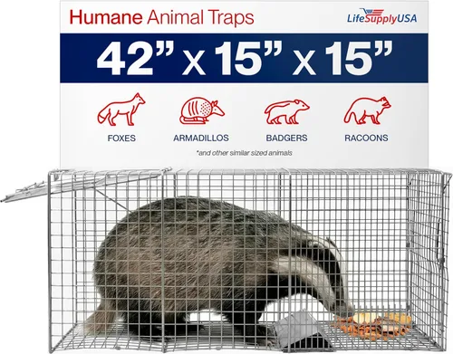Trampa de jaula de animales humanos vivos para zorros, mapaches, tejones, coyotes y otros animales de tamaño similar, 42 x 15 x 15 pulgadas