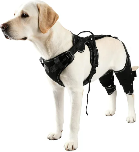 Vivifying Arnés de soporte de cadera y piernas para perro para asistencia de movilidad, soporte ajustable para piernas traseras con asa de elevación