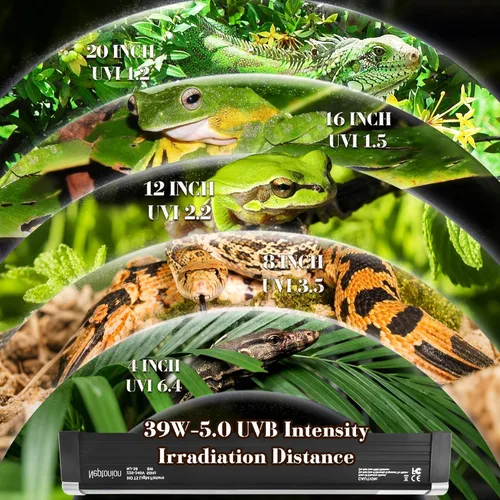 Miniatura 3 de Lámpara UVB para Reptiles T5 de 34.5 Pulgadas con Bombilla UVB 5.0 de Alta Salida Cubierta para Terrarios, Reptiles Tomando el Sol, Lagartos, 5.0