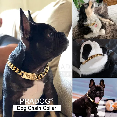 Miniatura 4 de PRADOG Collar de cadena dorada para perro, collar de cadena de eslabones cubanos con hebilla de diseño seguro, collar de metal de acero inoxidable