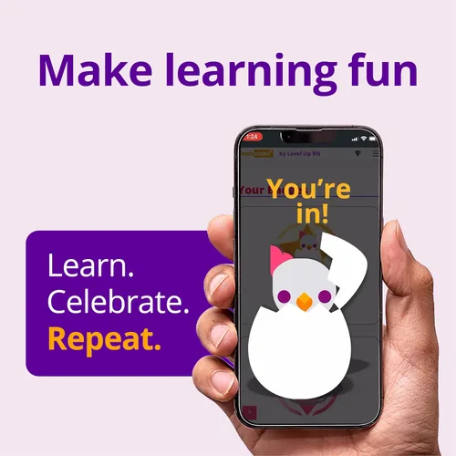 Miniatura 5 de Flashables & Membership Bundle - Tarjetas digitales y videos de la escuela de enfermería - Incluye 14 asignaturas - 1 año de acceso en línea