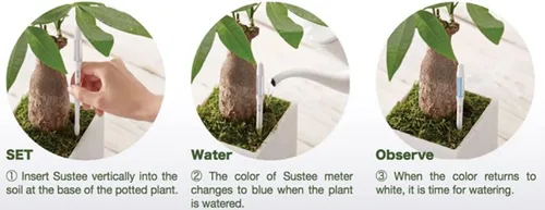 Miniatura 2 de Sustee Aquameter (2 verdes, medianos) - Medidor de humedad del suelo de plantas, monitor, sonda, indicador - Lo mejor para plantas en maceta