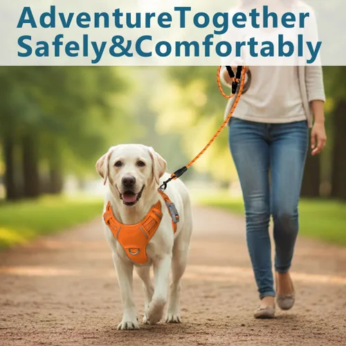 Miniatura 8 de BARKBAY Arnés para perro sin tirones con bolsillo para etiqueta de identificación, resistente, reflectante, de fácil control para perros grandes