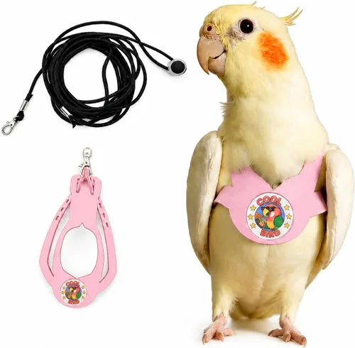 Miniatura 7 de Juego de arnés ajustable y correa para pájaros pequeños, apto para periquitos, conures, cacatúas, mejillas verdes, loros cuáqueros (verde, XS) 6350-6