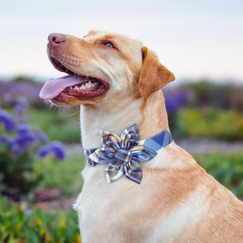 Miniatura 2 de Collar de Perro a Cuadros para Machos, Collares Florales para Perros Machos con Pajarita de Flores, Collar de Perro para Lindos Gatos y Perros Verde