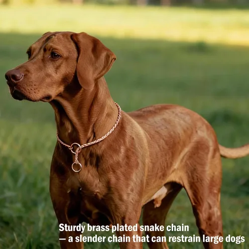Miniatura 5 de Collar de estrangulador para perro resistente con cadena en P, collar de serpiente, antioxidante, collares de entrenamiento para perros pequeños