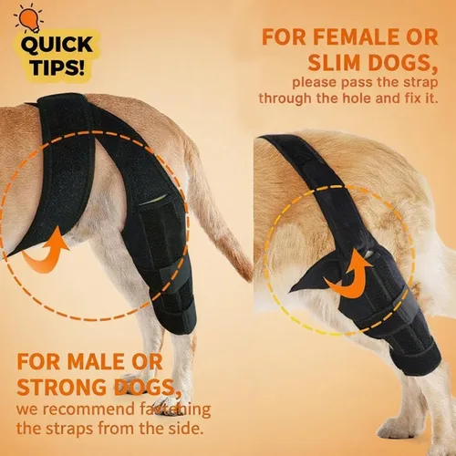 Miniatura 5 de Rodillera para perro para pierna trasera desgarrada, rodillera ajustable para perro, ayuda a aliviar desgarros del ligamento cruzado anterior