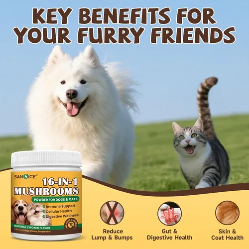 Miniatura 5 de Hongo de cola de pavo para perro con MSM para la salud de las articulaciones, hongo para perros y gatos, bultos y protuberancias, colágeno