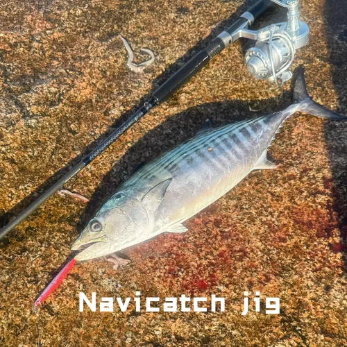 Miniatura 8 de Saltwater Fishing Lures Fishing Jigs Fishing Spoons for Striped bass, Pompano, Spanish Mackerel ，Bluefish