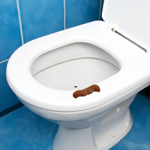 Miniatura 3 de Chivao 7 piezas falsas realistas falsas broma de turd realista poo juguete de broma y prácticos juguetes de broma para el día de los inocentes