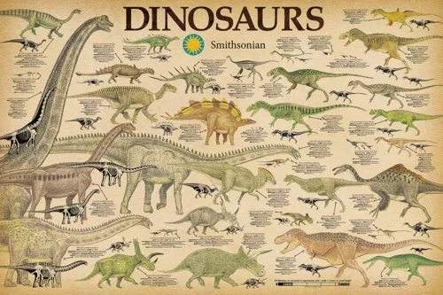 Studio B Póster laminado Smithsonian - Tabla de información de dinosaurios 36 x 24 pulgadas