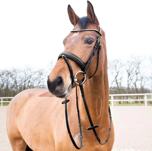 Miniatura 3 de HORZE Lester Dressage Snaffle Bridle w/Riendas