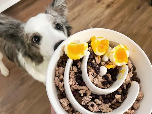 Miniatura 2 de Comedero Lento para Perros, Tazón de Cerámica de 3 Tazas con Laberinto para Perros Medianos/Grandes – Plato Antideslizante Blanco para Mascotas