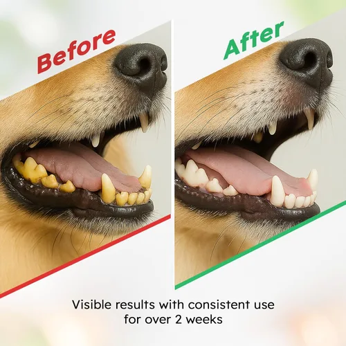 Miniatura 7 de Polvo de limpieza de dientes de perro, ambientador de aliento de perro + cuidado dental para perros y gatos + removedor de sarro para dientes