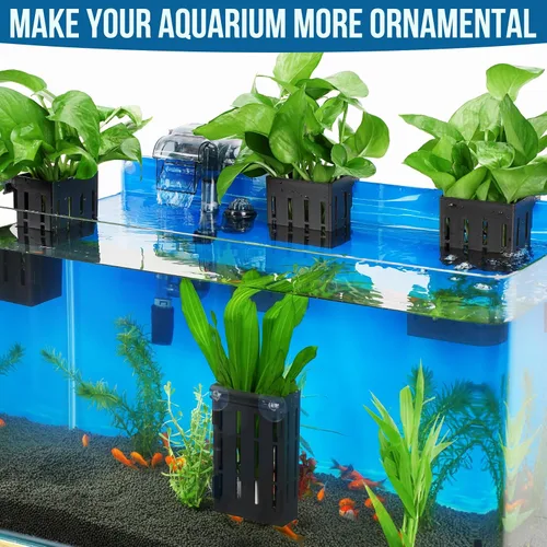 Miniatura 9 de Borlech Soporte de Planta de Acuario Grande Mejorado con Ganchos y Ventosas para Cultivo de Plantas Acuapónicas en Tanque de Peces y Decoraciones