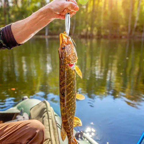 Miniatura 7 de Plantillas de pesca de metal, cucharas de pesca de metal, cebo de hoja giratoria, cuchara de jigging de fundición larga, señuelo vertical duro VIB