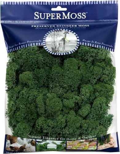 SuperMoss Musgo decorativo preservado de renos de larga duración para decoración floral, plantas en macetas y macetas de interior, bosque