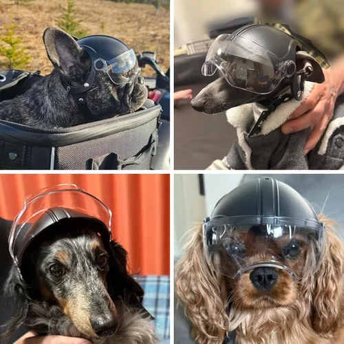 Miniatura 2 de Enjoying Casco para perro con lente transparente y agujeros para las orejas, casco de motocicleta para mascotas, sombreros para perros pequeños a