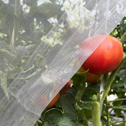 Red de jardín ultra fina de 4'x10' pies, cubiertas de barrera contra plagas de plantas, red para pájaros y mosquitos para patio, malla de protección