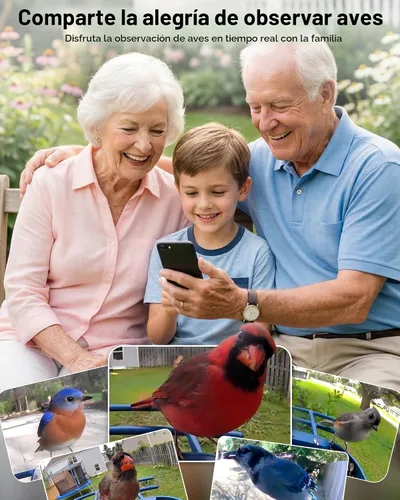 Miniatura 8 de Alimentador para pájaros con cámara con energía solar: Alimentador inteligente para pájaros con cámara de 2K de alimentación en vivo para el patio