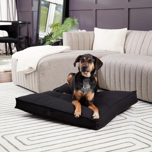 Miniatura 3 de Happy Hounds Milo - Cama acolchada cuadrada para perro, color negro, mediano (32 x 32 pulgadas)