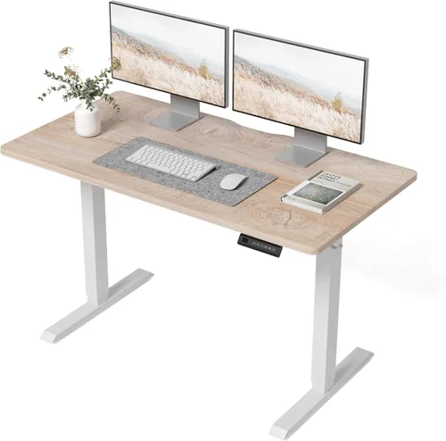 BANTI Escritorio de pie de 48 × 24 pulgadas, ergonómico, altura eléctrica ajustable, para sentarse y ponerse de pie, escritorio de oficina para Arce