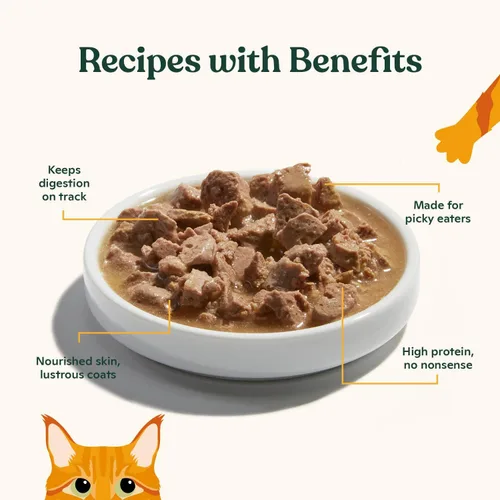 Miniatura 4 de Made by Nacho Receta de carne de res alimentada con pasto, con acabado de grano, cortes en salsa con caldo de hueso, comida para gatos, 3 onzas