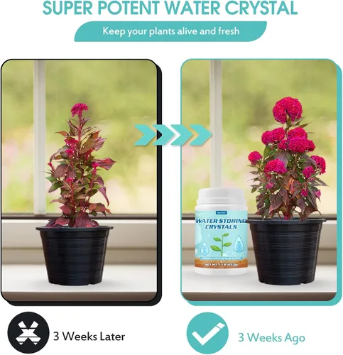 Miniatura 2 de Cristales de almacenamiento de agua de 1 libra para plantas con cuchara, gel de agua que resuelve problemas de riego excesivo y sequía, mantiene