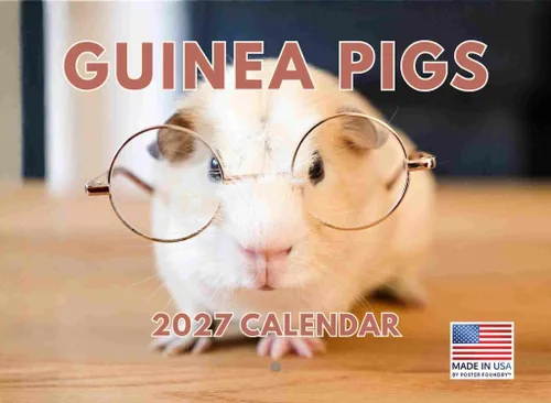 Miniatura 101 de Calendario alpaca 2026, calendario mensual de pared de 12 meses Hecho en Estados Unidos.