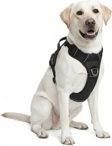 Miniatura 6 de Arnés sin tirones para perro, con 2 clips para correa, chaleco Oxford reflectante ajustable para mascotas con asa de fácil control para perros Negro