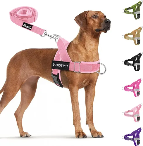 Miniatura 15 de SlowTon Arnés para perro sin tirones, juego de arnés y correa resistente para perros medianos y grandes, arnés táctico reflectante con acolchado