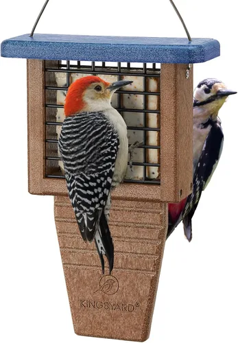 Miniatura 10 de Kingsyard Comedero de sebo de plástico reciclado, alimentador de sebo para colgar en el exterior, resistente y duradero, ideal para pájaros Verde