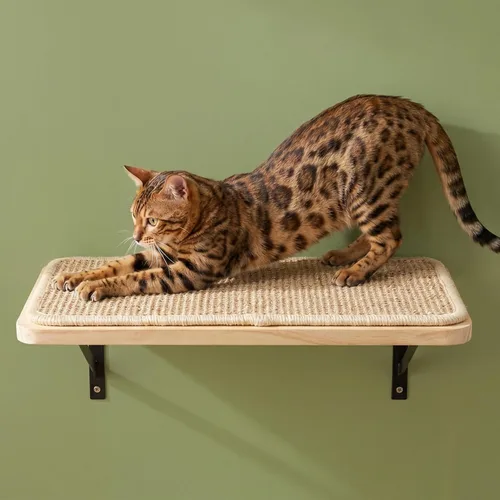 Estante flotante de pared para gatos con alfombrilla para rascar, 1 unidad, 9.7X16.6 pulgadas. Percheros de ventana para gatos montados en la pared