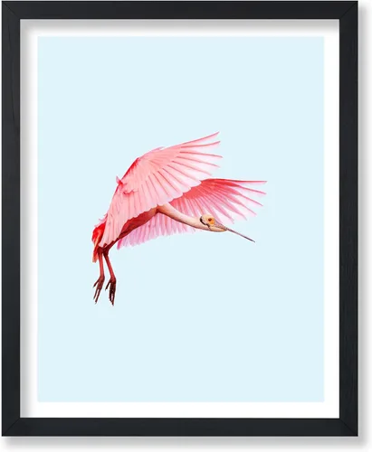 Miniatura 16 de Poster Master Vintage James Audubon Póster - Impresión Retro de Cuervo - Arte de Aves de América - Arte de Aves - Regalo para Hombres, Mujeres