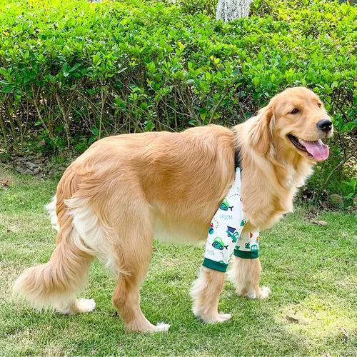 Miniatura 2 de Protector de codo para perro, coderas con almohadilla de malla para perros medianos y grandes para evitar lamer heridas (automóvil, 4XL)