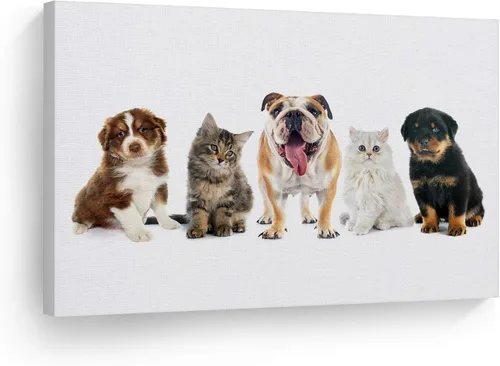 Miniatura 22 de Diseño de arte de la sonrisa Retrato de lindo Yorkie Yorkshire Terrier perro animal lienzo de pared impresión arte del dueño de mascotas amante