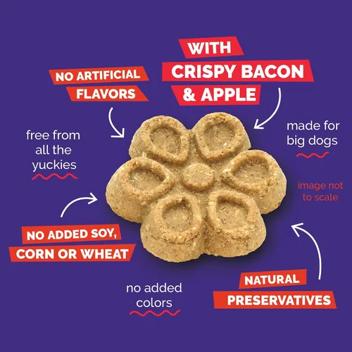 Miniatura 5 de Fruitables Biggies - Galletas para perros, golosinas saludables para perros, galletas de calabaza para perros, golosinas crujientes, hechas sin