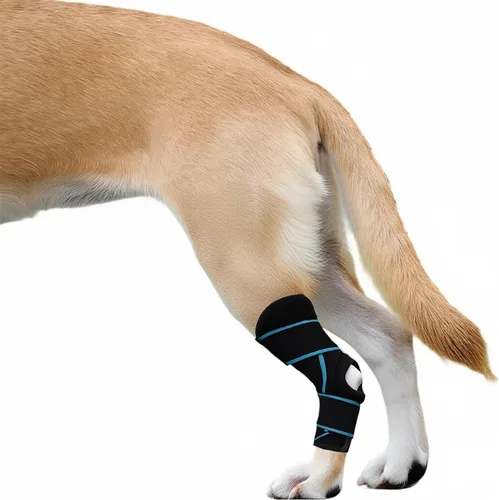 Rodillera para Perro para Pierna Trasera, Soporte ACL para Perros Grandes, Rodillera Ajustable para Perros para Lesiones en la Pierna Trasera,