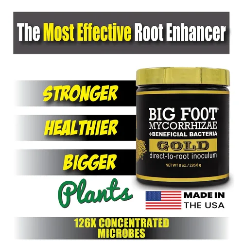 Miniatura 3 de Big Foot Gold Hongos micorrízicos 28 g, bacterias beneficiosas para el crecimiento de las plantas, estimulador de raíces, fórmula súper concentrada