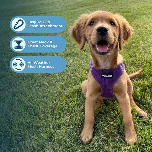 Miniatura 51 de Best Pet Supplies Voyager Step-in Air Arnés – Malla para todo clima, reflectante, arnés antitirones para perros y gatos, seguro con cierre de gancho