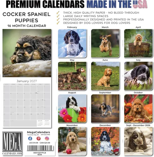 Miniatura 7 de Calendario 2025 2026 de cachorros Cocker Spaniel - Calendario mensual de pared de raza de perro - 12" x 24" abierto - Papel grueso sin sangrado