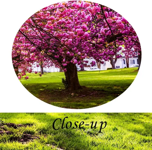 Miniatura 5 de KREATIVE ARTS 4 piezas de lienzo de arte para pared, primavera, verano, otoño, invierno, cuatro estaciones, paisaje, colorido, árbol, pintura