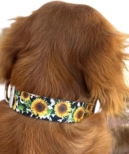Sunflower Adjustable Dog Collar (Small 11-13")