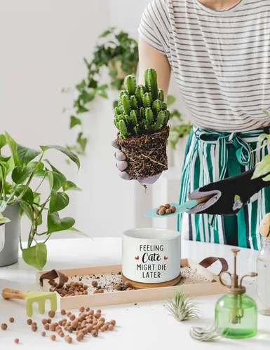 Miniatura 6 de Feeling Cute Might Die Later - Maceta de cerámica grabada para suculentas, aloe y cactus, divertidas macetas de interior con bandeja de bambú