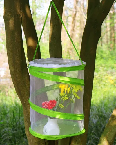 Miniatura 2 de RESTCLOUD Jaula de hábitat para insectos y mariposas, terrario de malla transparente, transparente más fácil, 9 x 11 pulgadas de alto